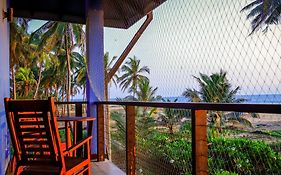 Nayan'S Paradise
