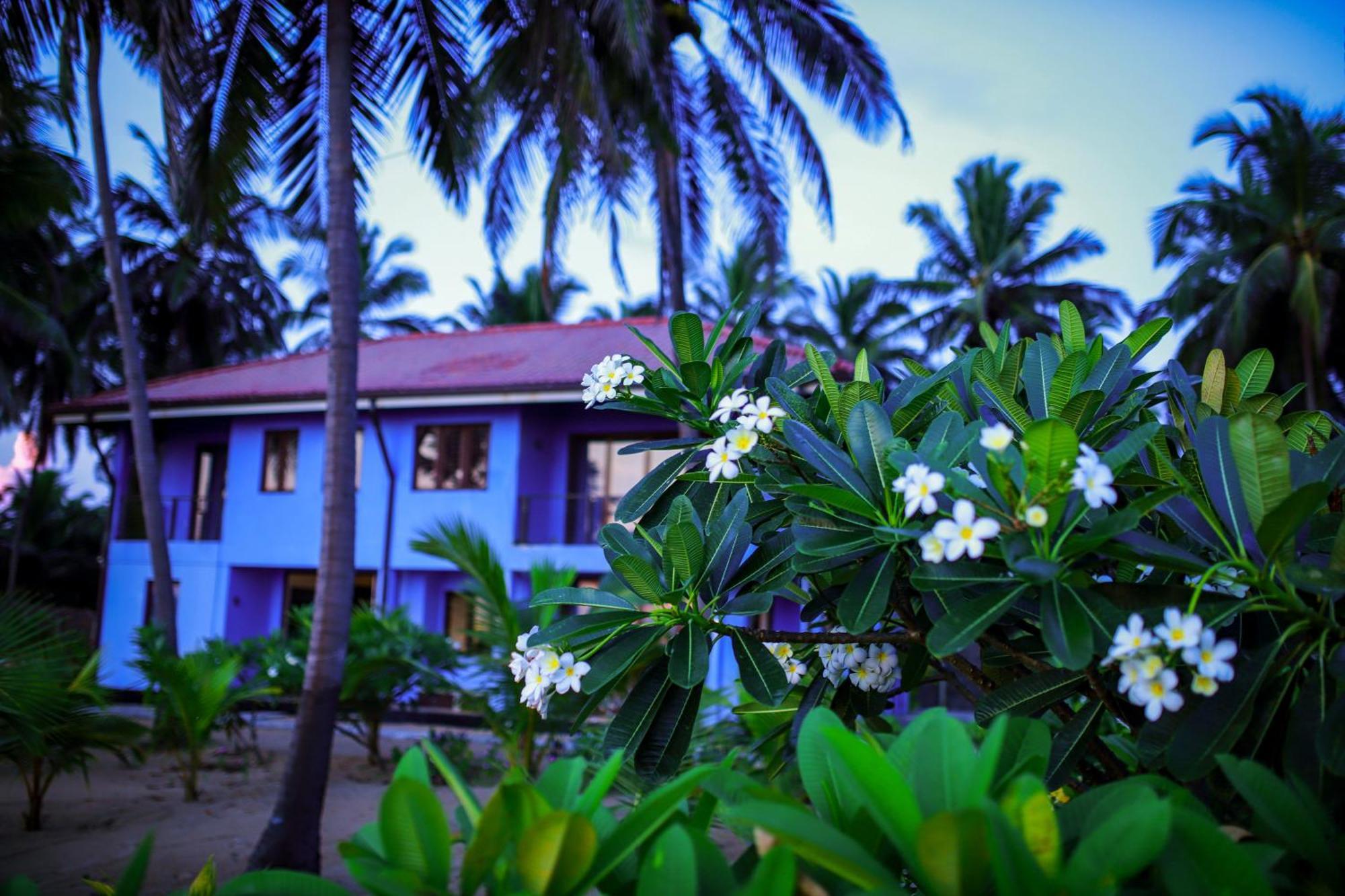 Nayan'S Paradise Kottanitivu Exterior foto