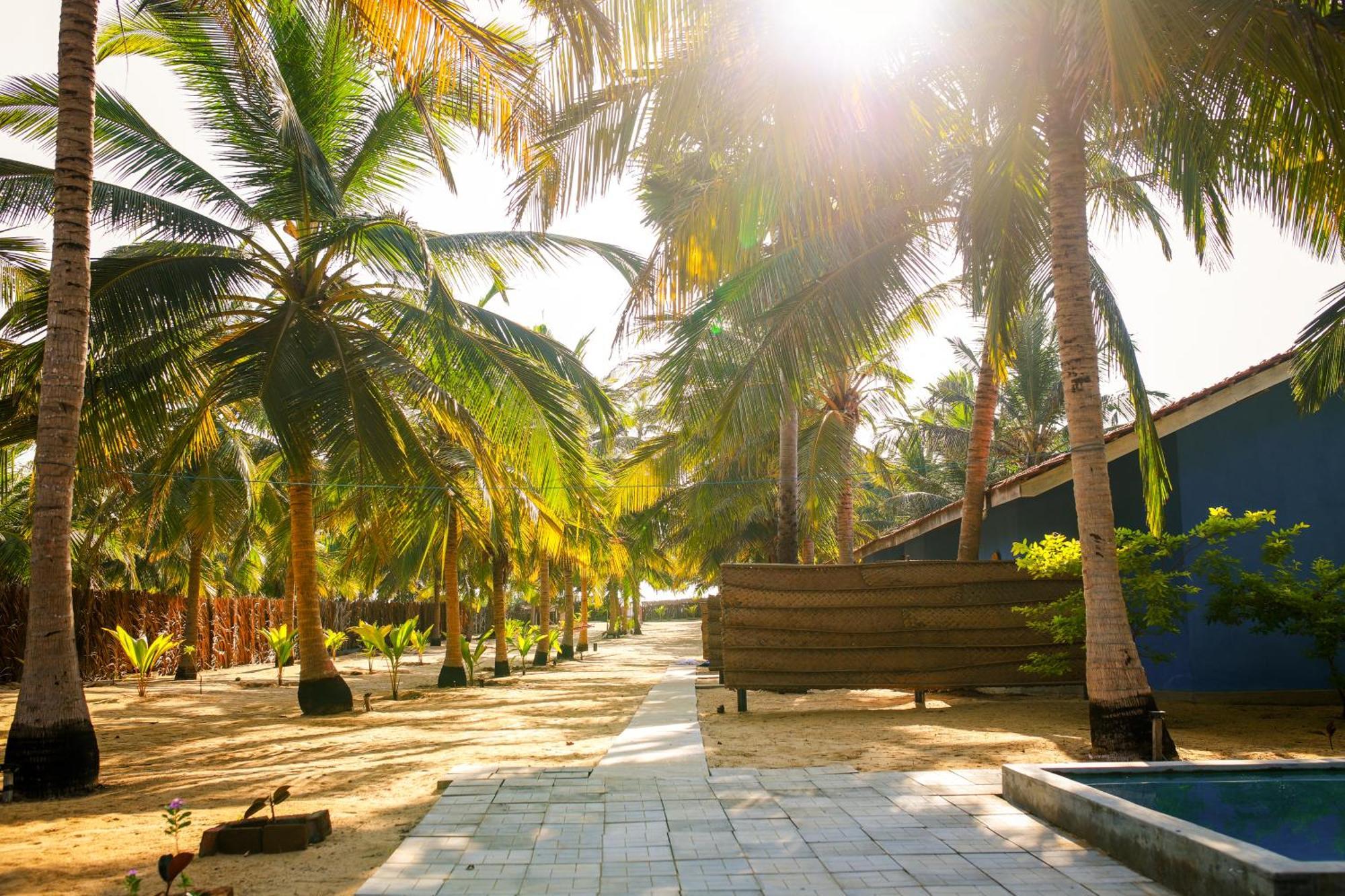 Nayan'S Paradise Kottanitivu Exterior foto
