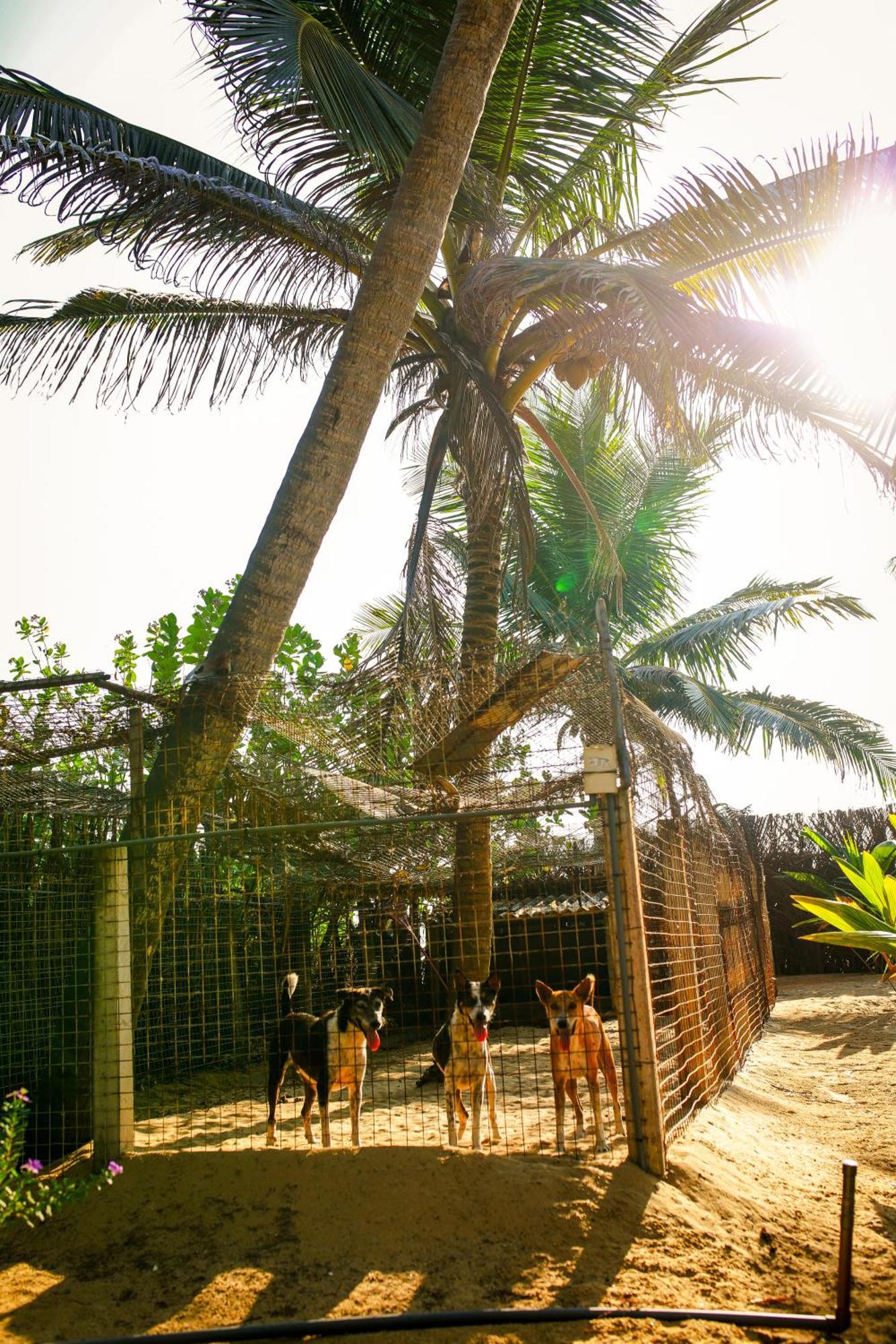 Nayan'S Paradise Kottanitivu Exterior foto