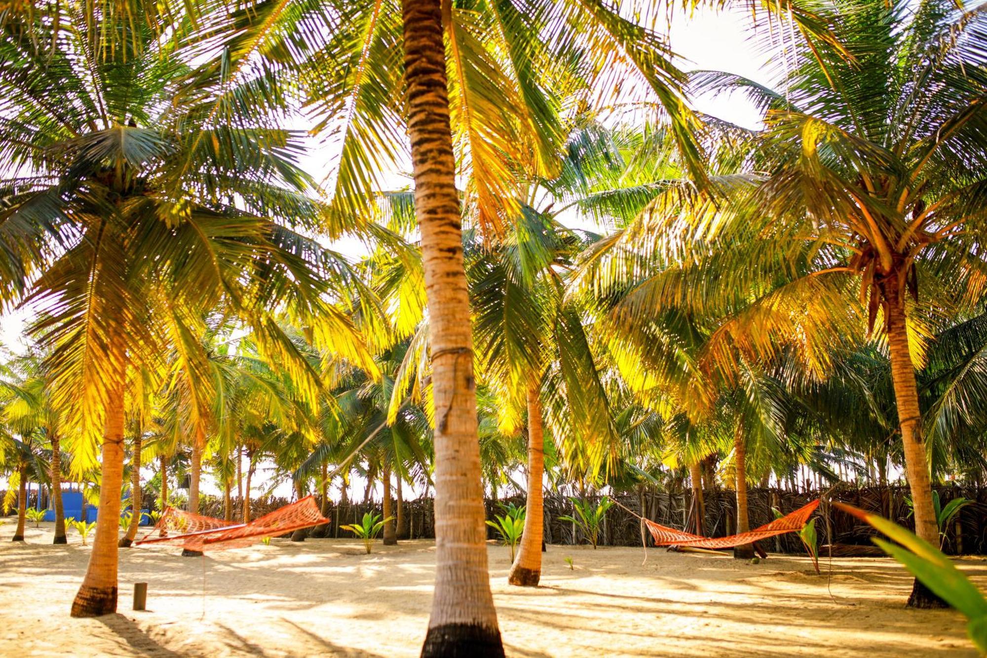 Nayan'S Paradise Kottanitivu Exterior foto
